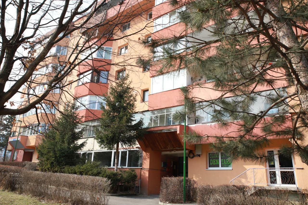 Cozy Apartment In Braşov Exterior foto